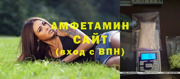 ПСИЛОЦИБИНОВЫЕ ГРИБЫ Грязовец