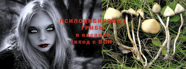 винт Алзамай