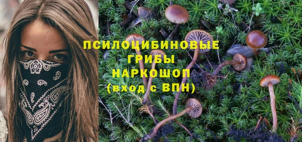 мет Пролетарск